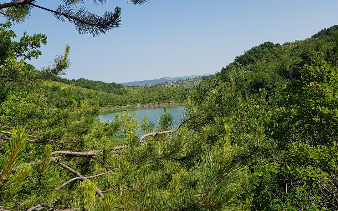 Idejni izletnik: Pot za srce in ožilje (Vanganel – Marezige)