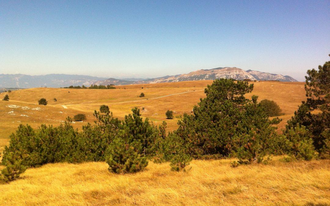 Idejni izletnik: Vremščica